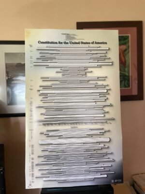 The Full Power US Constitution Print